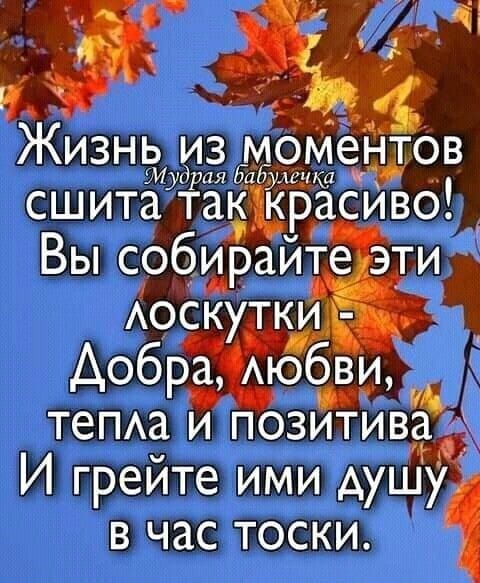 ЖИЗНЬ ИЗ МОМёНТОВ 1 рая 5115 ища сшита таірасиво Вы собирайте эти тема и позъЁивёпё И грейте ими душуі В ЧЭС ТОСКИ