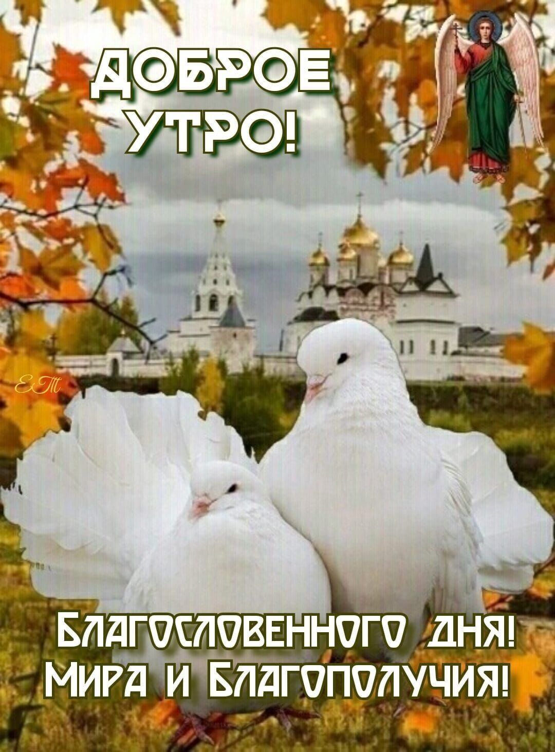 ЁМИРД ИБПДГППОПУЧИЪ __