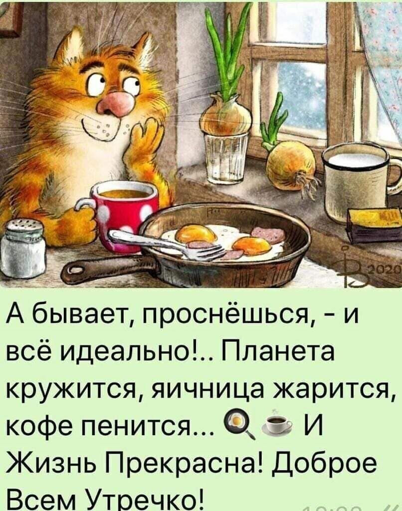 А бывает проснёшься и всё идеально Планета кружится яичница жарится кофе пенится 3 И Жизнь Прекрасна Доброе Всем Утоечко