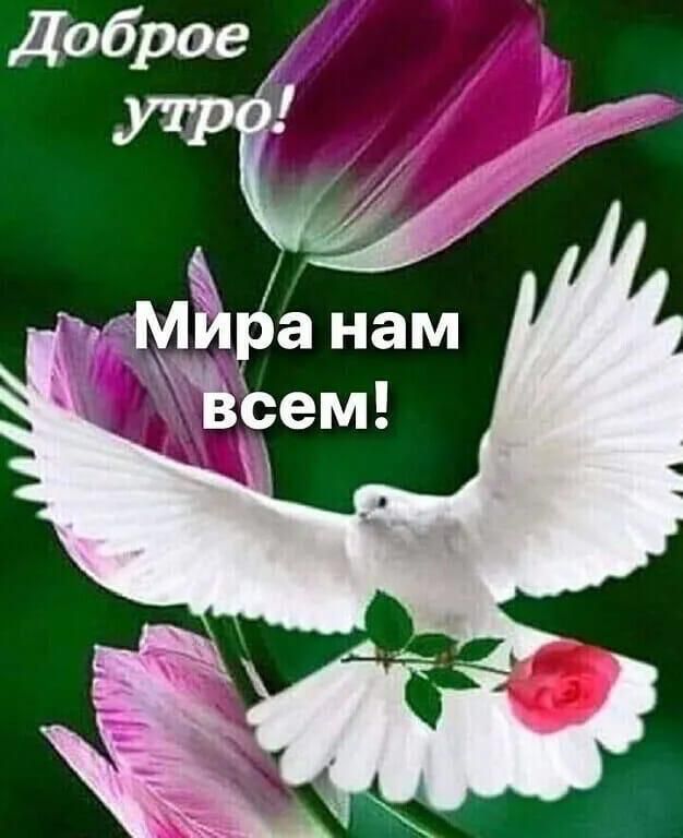 Доброе _ 1 57 Ми анам Ьсем