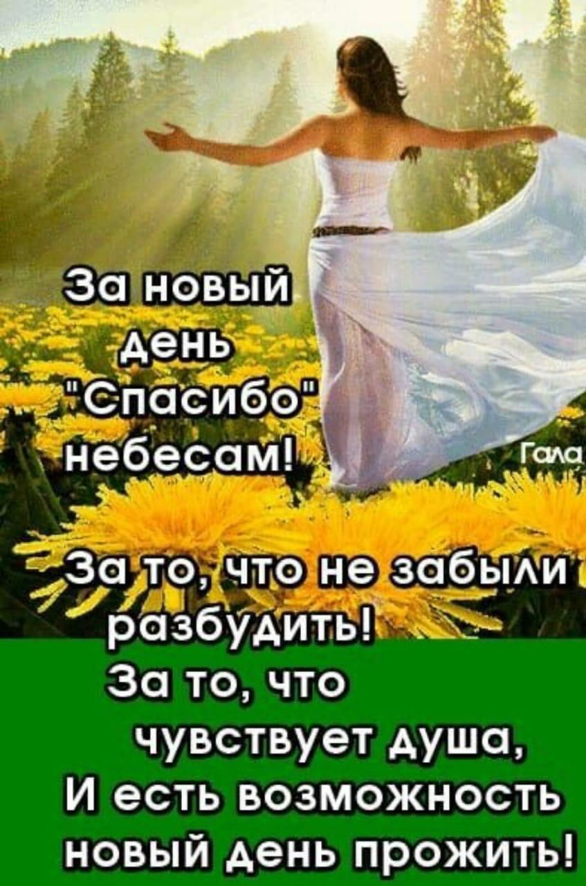 За новый розбудитьг За то что чувствует душа И есть возможность новый день прожить