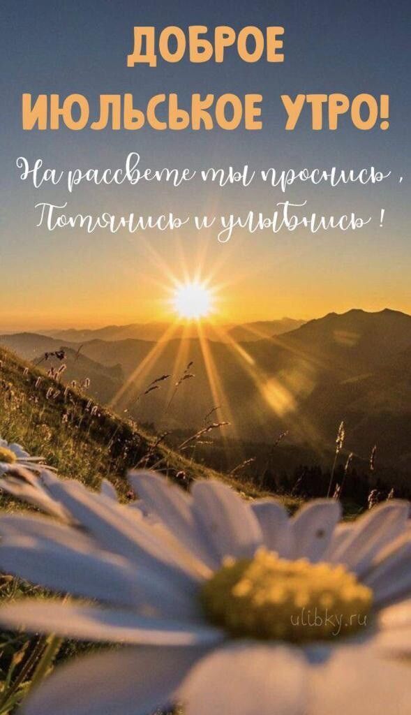 че 7
