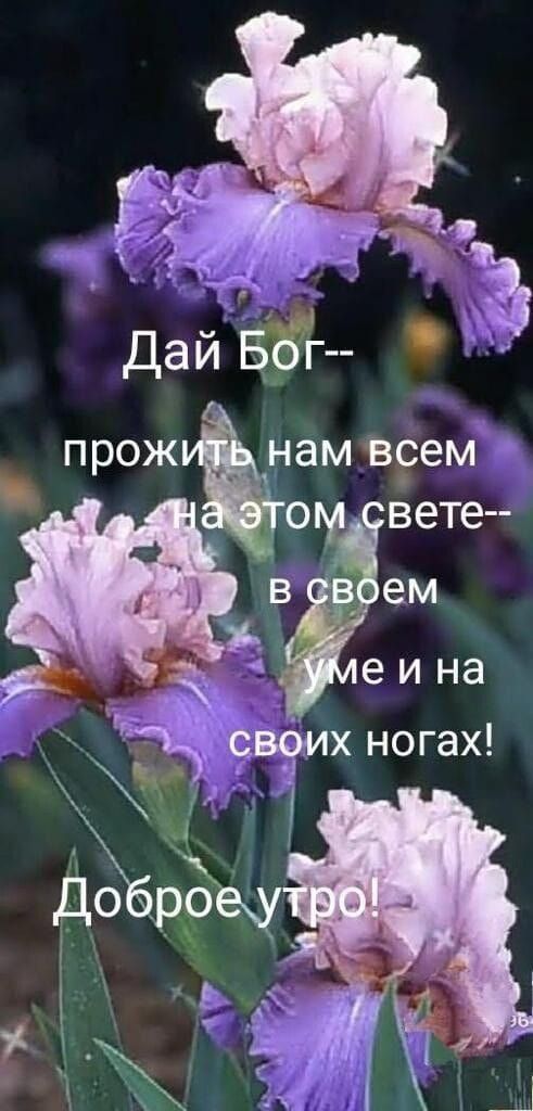 прож нам в9ем о вет