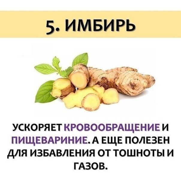 5 имвирь ускоряет кговооврдщвнив и пищввдриниых еще полезен для извдвлвния от тошноты и гдзов