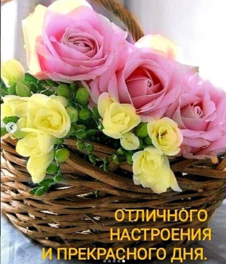 д НАСТРОЕНИЯ А ПРЕКРАСНОГО дня