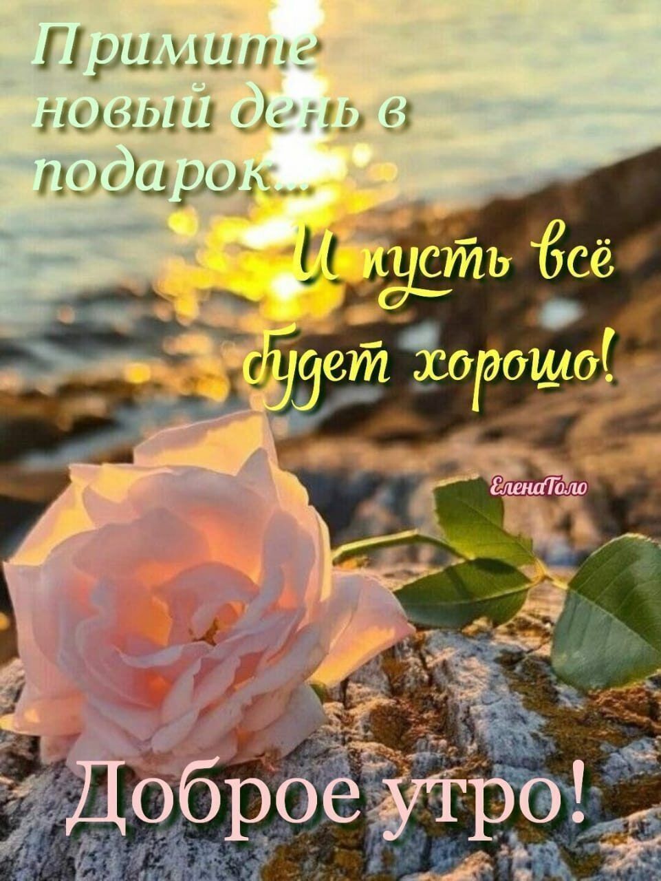 Примипи гашиш Муш и пашут Доброеутро і