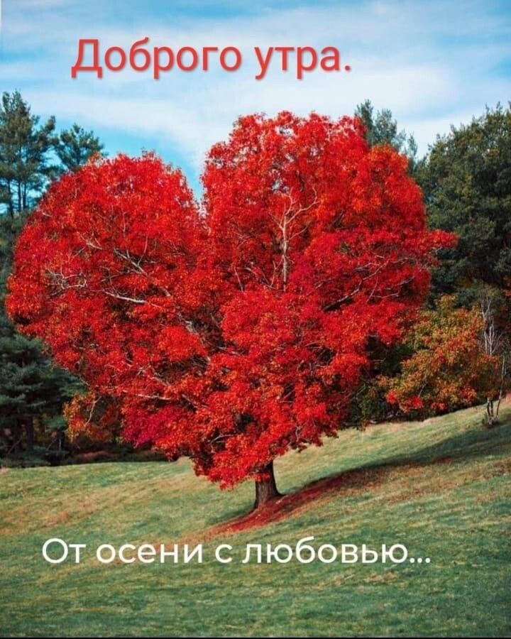 Доброго утра От осени с любовью