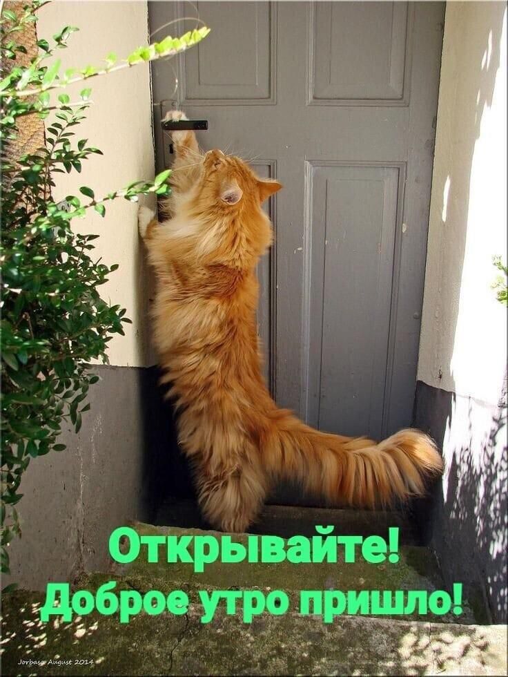 Открывайте Ф добритоприишо