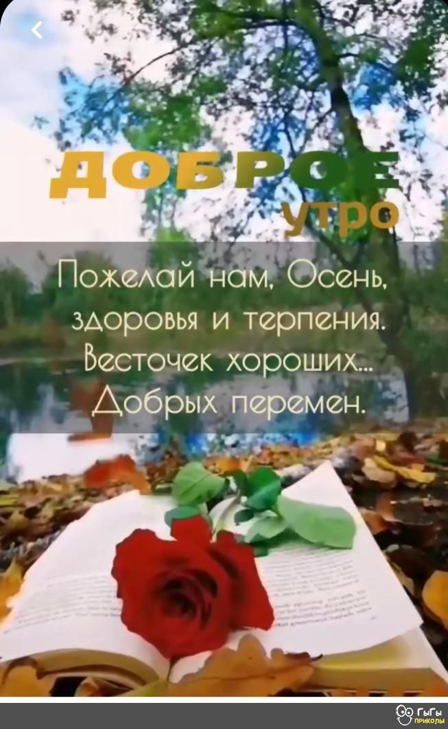 3Аоровья и терпения Бесточек хороших Афрыі ч