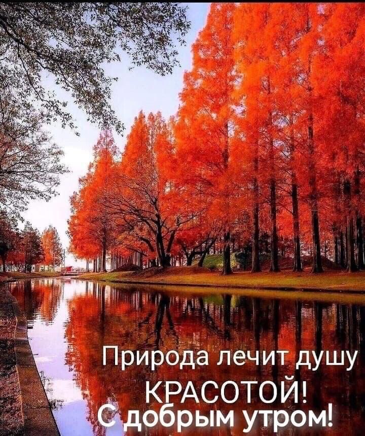 _ __ Ё Ж щ 17 Природа лечит душу КРАСОТОЙ дёцобрым утром