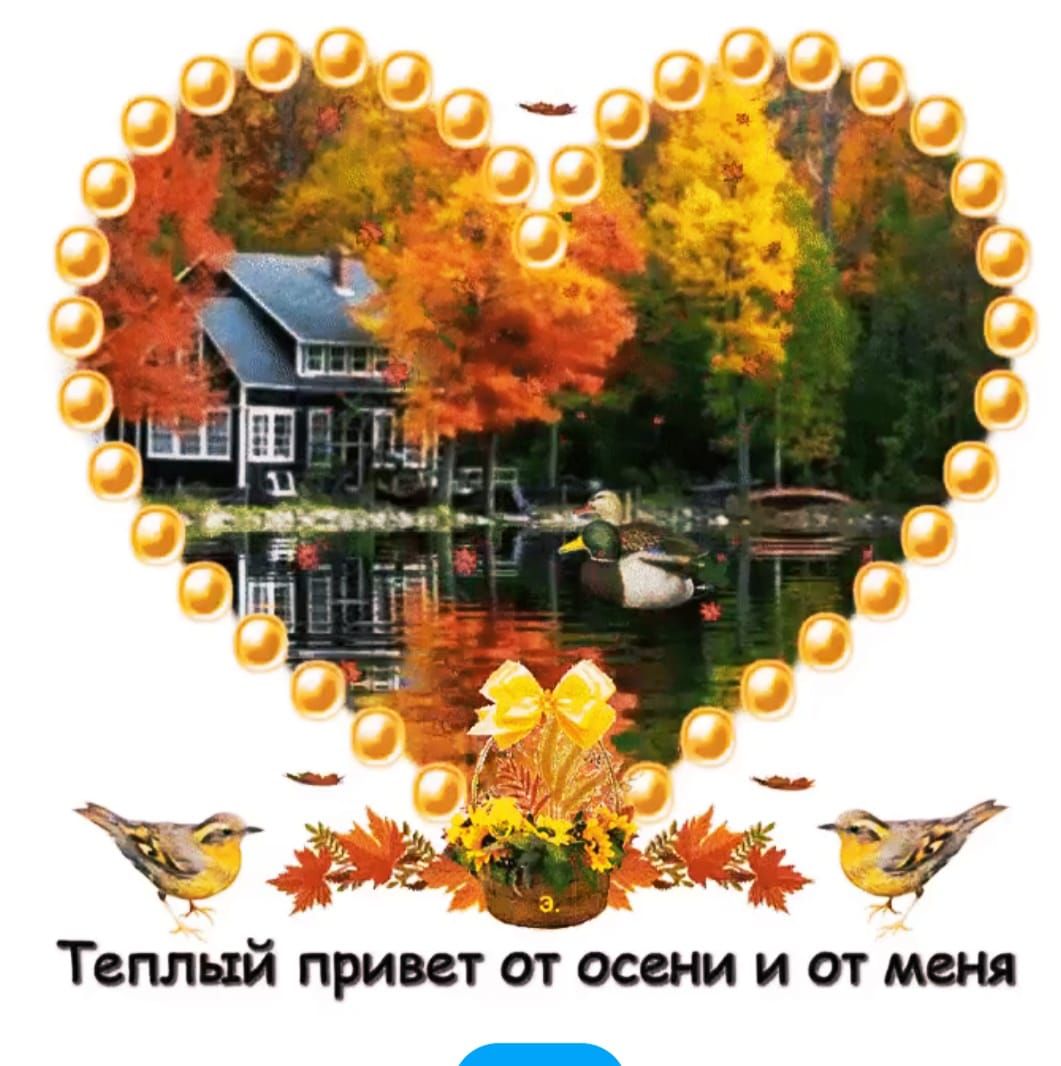 Теплый принт ат осени и от мдм