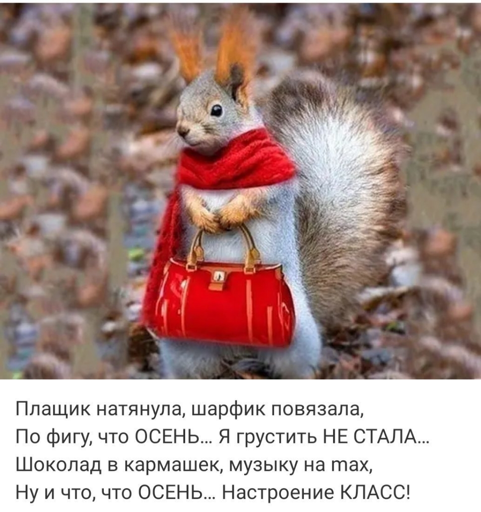 Плащик натянула шарфик повязала По фигу что ОСЕНЬ Я грустить НЕ СТАЛА Шоколад в кармашек музыку на тах Ну и что что ОСЕНЬ Настроение КЛАСС