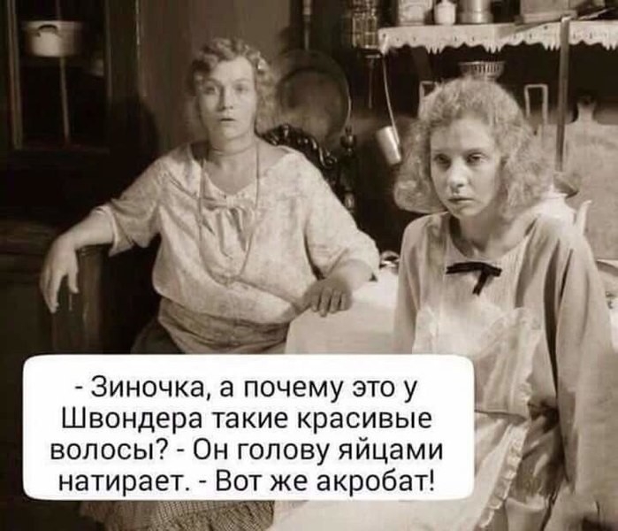 3иночка а почему это у Швондера такие красивые волосы Он голову яйцами натирает Вот же акробат і