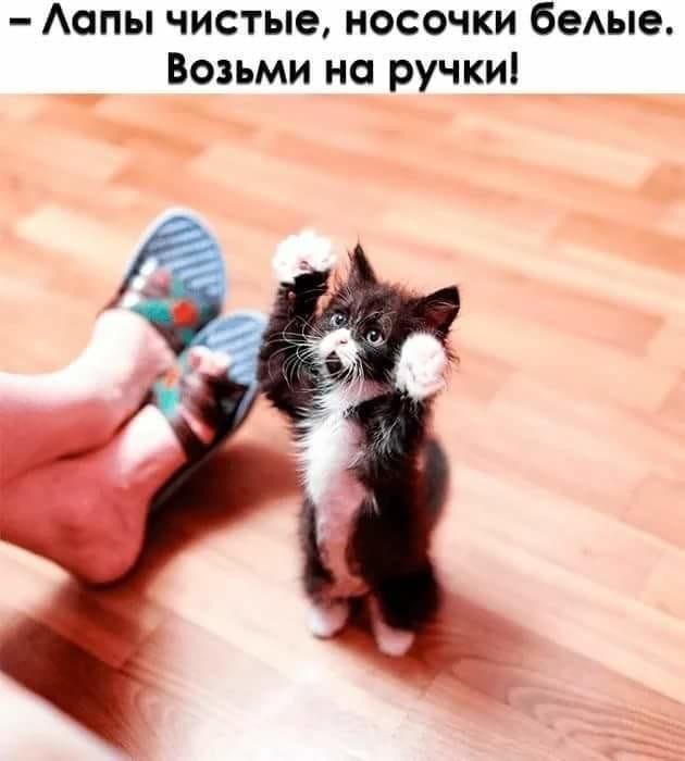 Аопы чистые носочки бедые Возьми на ручки
