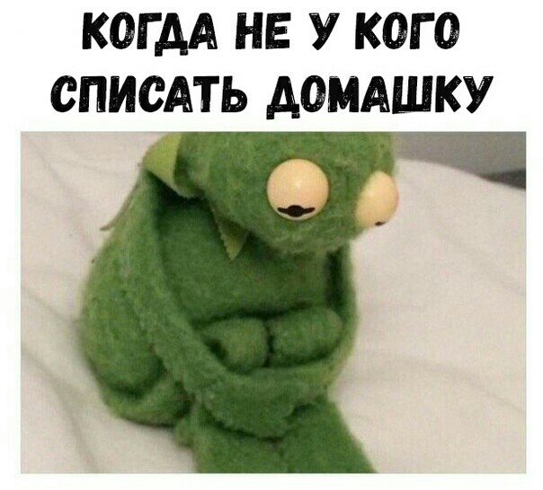КОГ АА НЕ У КОГО ОПИОАТЬ АОМАШКУ _