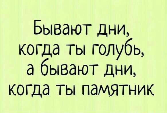 Бывают дни когда ты голубь а бывают дни когда ты памятник