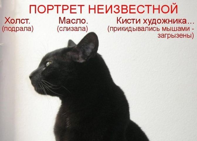Хопст Масло Кисти худогкни апа ппииплцпчт