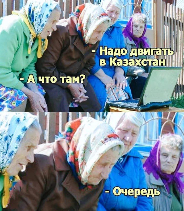 почв д Ь