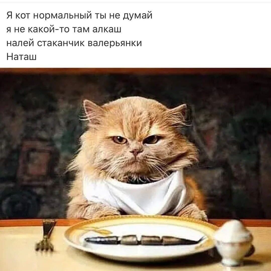 Я ШТ юрмвппнын ТЫ не дмай не какоъ то г чапкаш напеи стаканчик наперьянмм Ната