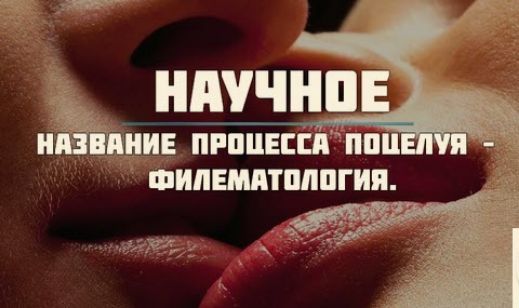 ШПШП и й пилинги шипштпппгия ци