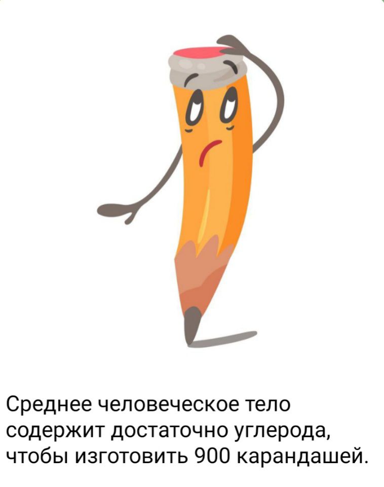 Среднее человеческое тело содержит достаточно углерода чтобы изготовить 900 карандашей