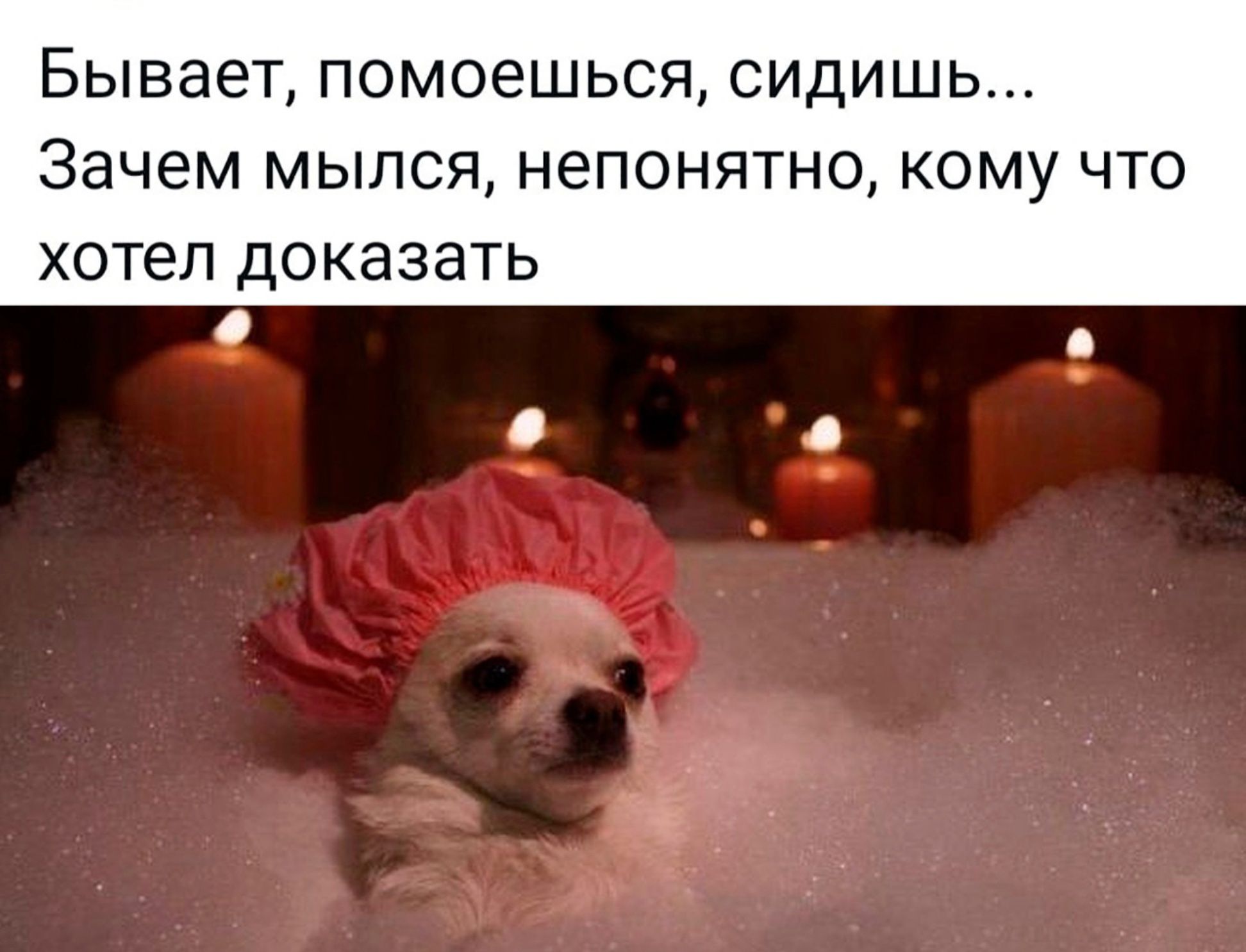 Бывает помоешься сидишь Зачем мылся непонятно кому что ХОТЕЛ доказать