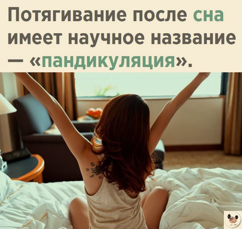 Потягивание после сна имеет научное название пандикупяция