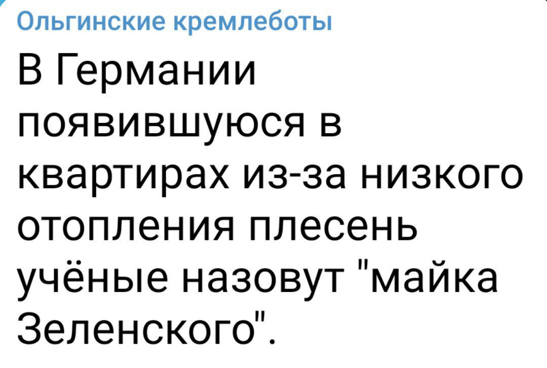ОПЬГИНСКИЭ КРЭМПЕБОТЫ В Германии появившуюся в квартирах из за низкого отопления плесень учёные назовут майка Зеленского