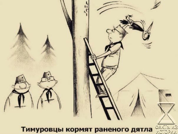 Тимура цы кормят раненого дитя