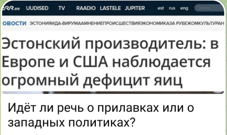 Эстонский производитель в Европе и США наблюдается догромный дефицит яиц Идёт ли речь о прилавках или о западных политиках