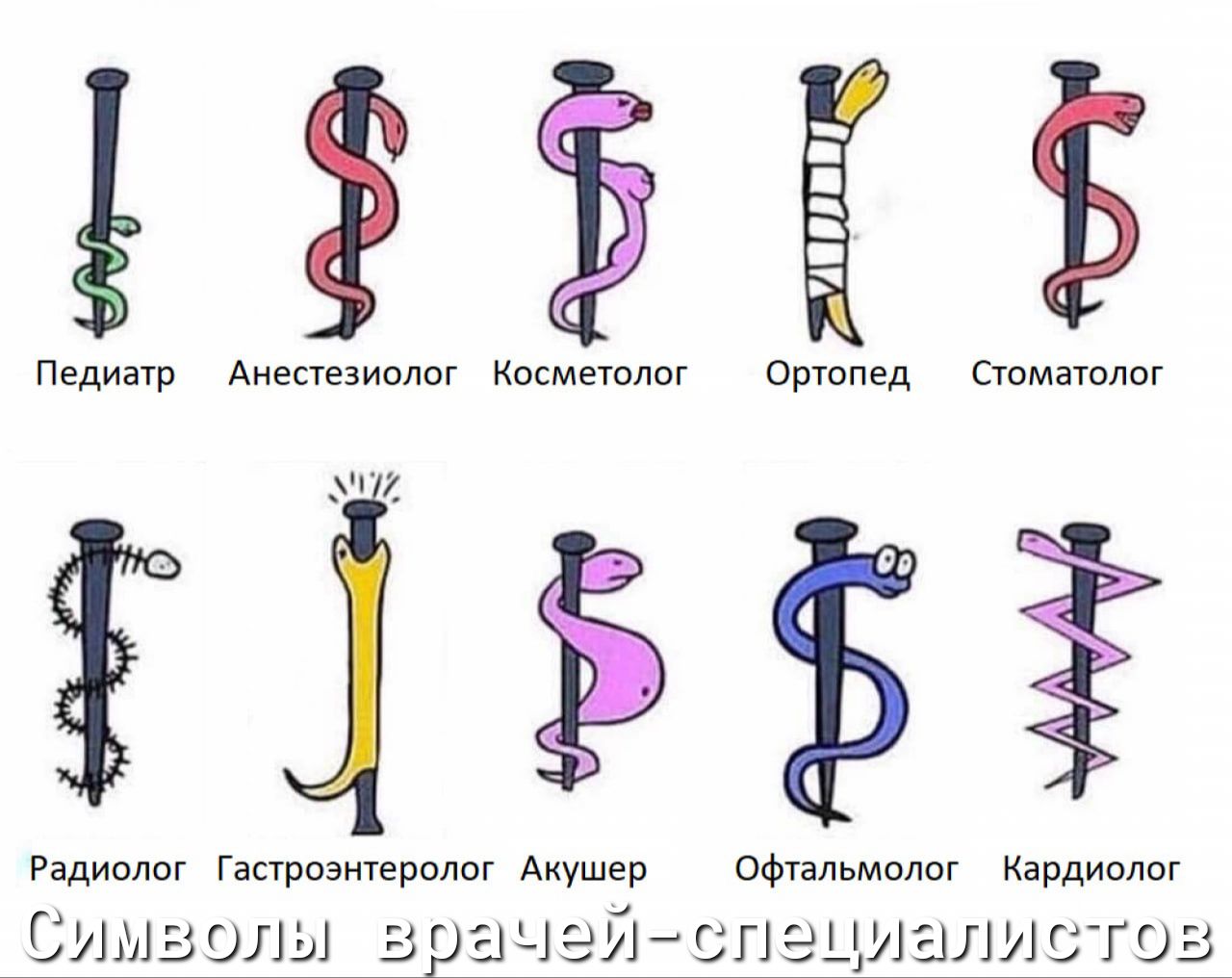 5 Педишр Аньшзиплпг исмтлог Пртопщ шматюг іёё Радиоюг Гнпразиуервлпг А офуяльмолпг Кардиолог Битвуш здачэй сп ациагшстоз