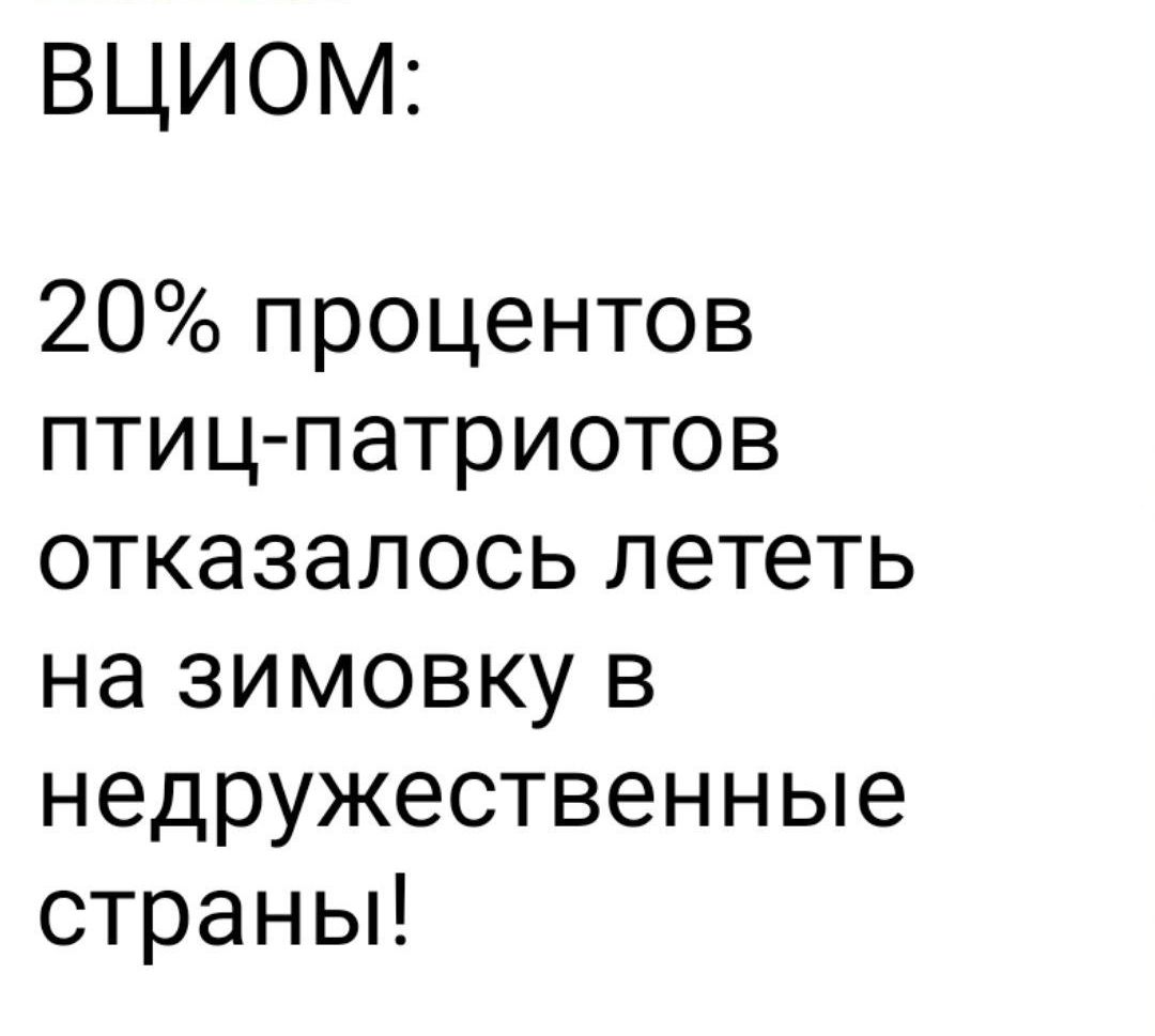 ВЦИОМ 20 процентов птиц патриотов отказалось лететь на зимовку в недружественные страны