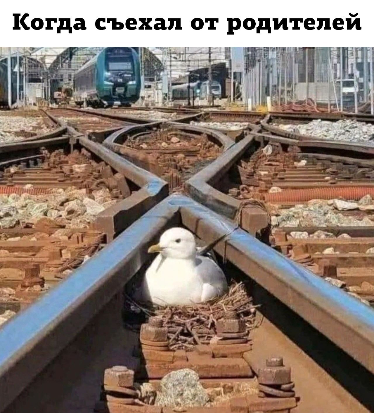 Когда съехал от родителей