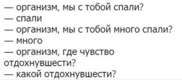 организм мы с тобой спали спали организм мы с тобой много спали много организм где чувство отдохнувшести какой отдохнувшесги