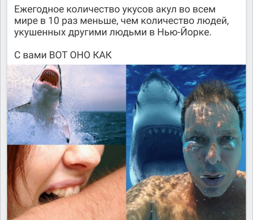 Ежегодное количество укусов акул во всем мире в 10 раз меньше чем количество людей укушенных другими людьми в НьюИорке С вами ВОТ ОНО КАК
