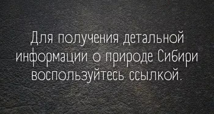 Для получения детальной информации огприроде Сибири воспользуйтесь ссылкой