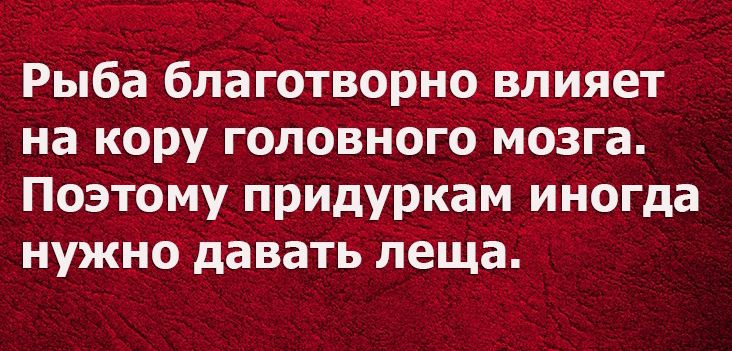 Рыба благотізорно лияёт на кору головного мозга Поэтому придуркам иногда нужно давать леща