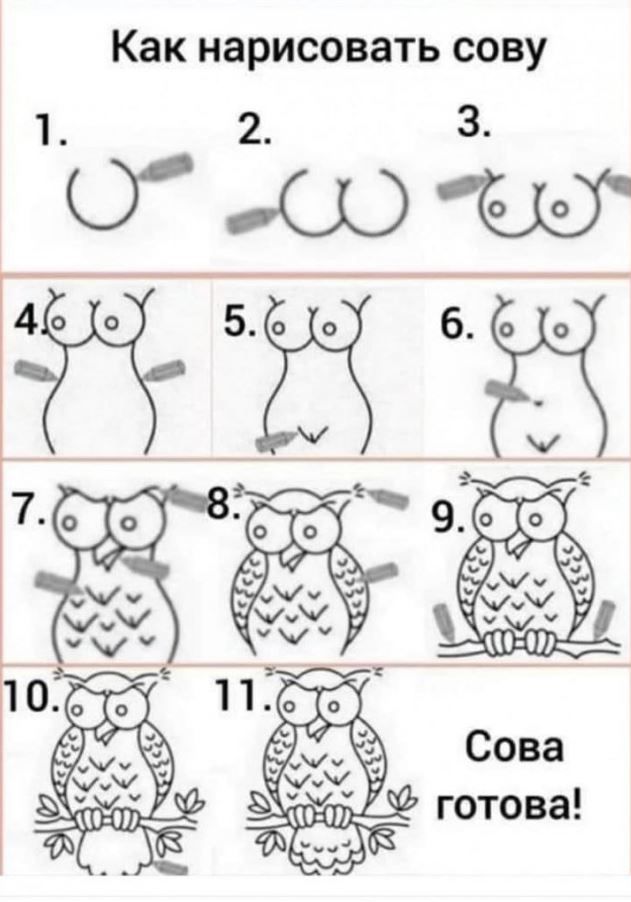 Как нарисовать сову