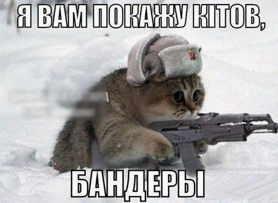 нджш ПВ пз