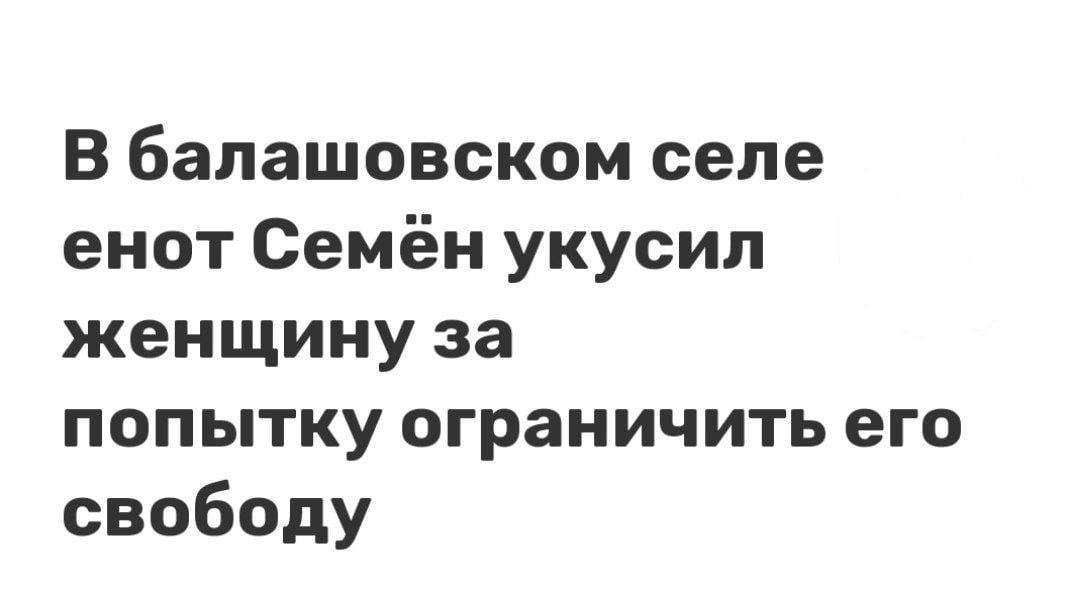 В бапашовском селе енот Семён укусил женщину за попытку ограничить его свободу