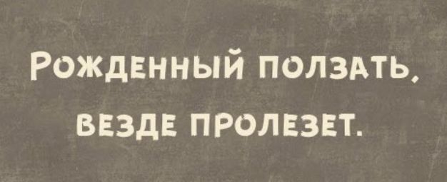 Рождвнный полздть везде пролвзвт