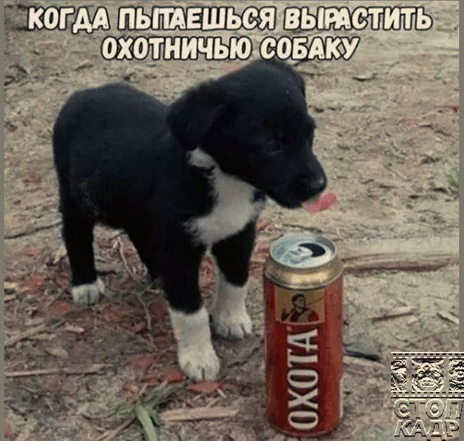 пь тЕшьс я охотничьюс