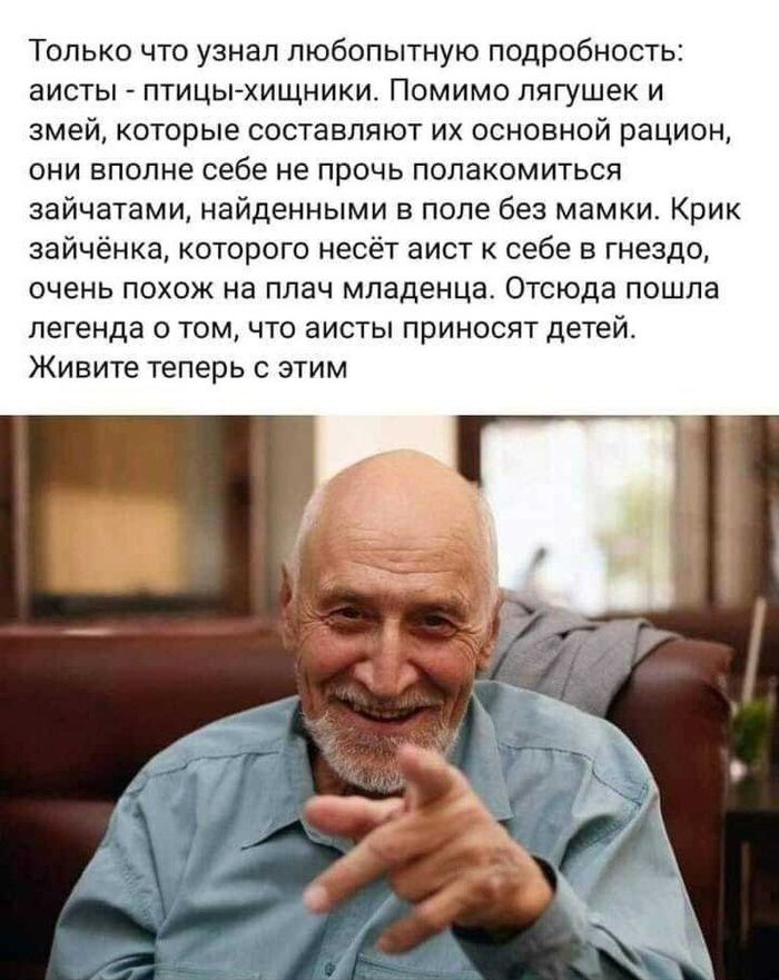 Только что узнал любопытную подробность аисты птицьъхищники Помимо лягушек и змей которые составляют их основной рацион они вполне себе не прочь полакомиться зайчатами найденными в поле без мамки Крик зайченка которого несет аист себе в гнездо очень Похож на плач младенца Отсюда пошла легенда о том что аисты приносят детей Живите теперь с этим