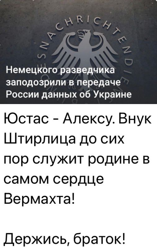 Немецкого разведчика заподозрили в передаче России данных об Украине Юстас Алексу Внук Штирлица до сих пор служит родине в самом сердце Вермахта Держись браток