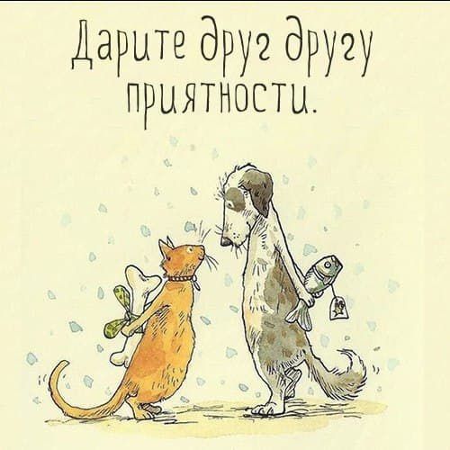 Даритедруэдручу приятности