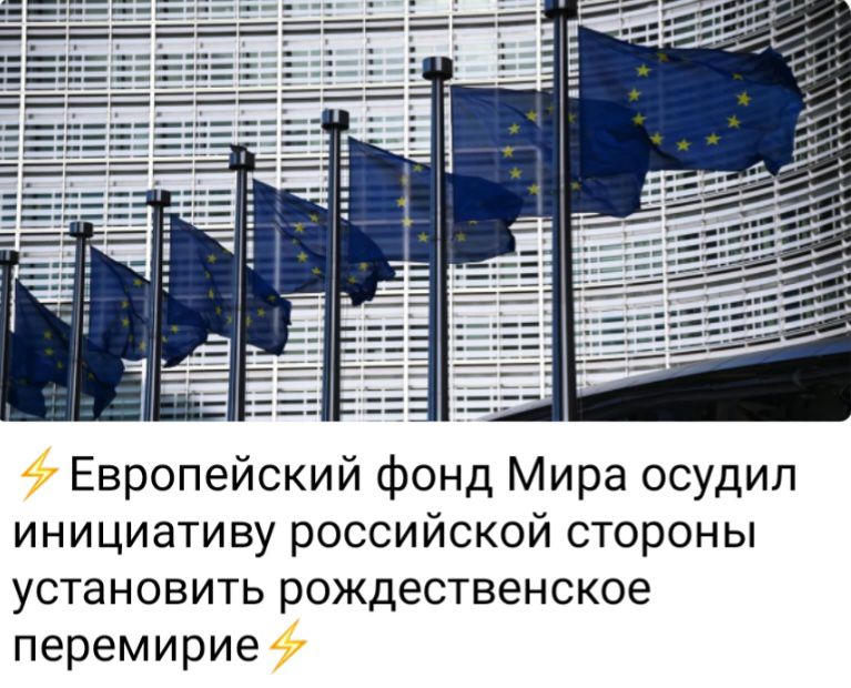 Европейский Фонд Мира осудил инициативу российской стороны установить рождественское перемирие