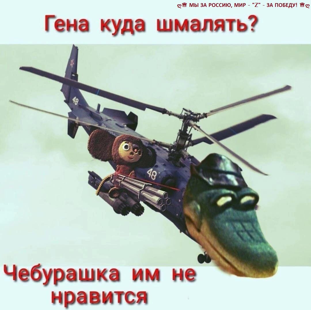 Гена куда шмалятьу Чебурашка им не нравится
