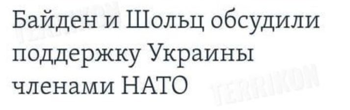 Байден и Шольц обсудили поддержку Украины членами НАТО