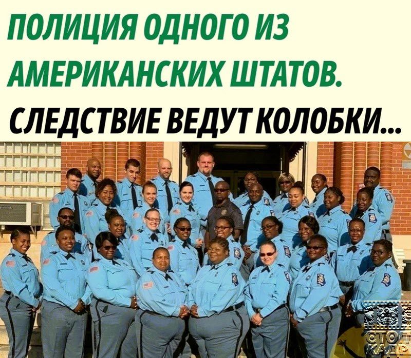 ПОЛИЦИЯ ОДНОГО ИЗ АМЕРИКАНСКИХ ШТАТОВ СЛЕДСТВИЕ ВЕДУТКОЛОБКИ