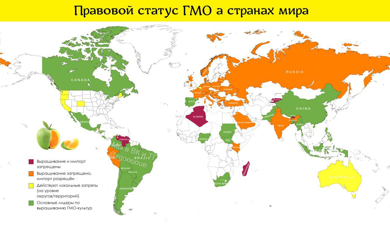 тимой аус гмо странах мира